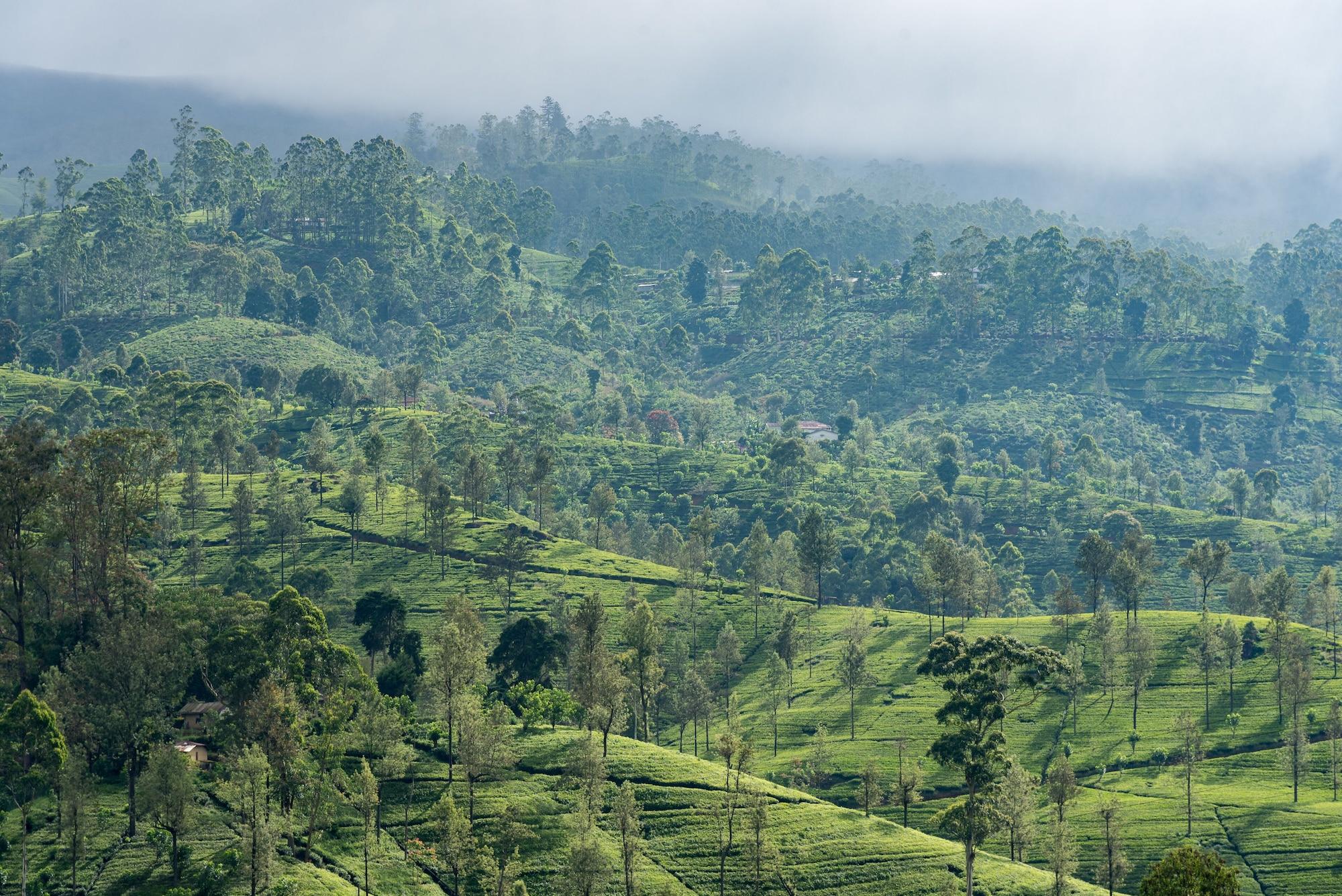 Langdale Boutique Hotel by Amaya Nuwara Eliya Extérieur photo